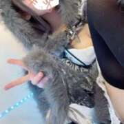 ヒメ日記 2026/01/14 22:42 投稿 らぶ コンカフェ×オナクラ あいこねくと