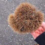 ヒメ日記 2025/09/21 13:01 投稿 音羽みい ABC 岩手ソープ