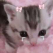 ヒメ日記 2026/08/14 20:31 投稿 音羽みい ABC 岩手ソープ