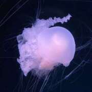 ヒメ日記 2025/10/03 17:28 投稿 めぐ スピードエコ梅田店