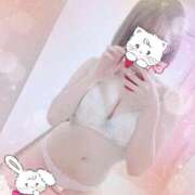 ヒメ日記 2025/10/15 16:35 投稿 つきみ IRIS(岐阜)