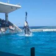 ヒメ日記 2025/11/09 20:13 投稿 藤咲 は な La elf（ラ・エルフ）