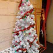 ヒメ日記 2025/12/13 00:03 投稿 藤咲 は な La elf（ラ・エルフ）