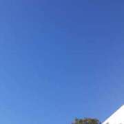 ヒメ日記 2025/12/15 14:43 投稿 藤咲 は な La elf（ラ・エルフ）