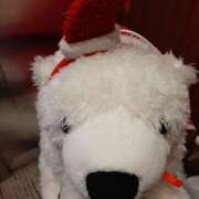 ヒメ日記 2025/12/24 08:53 投稿 藤咲 は な La elf（ラ・エルフ）