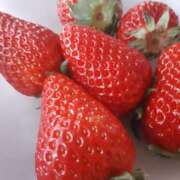 ヒメ日記 2026/01/17 18:13 投稿 藤咲 は な La elf（ラ・エルフ）