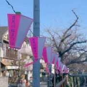 ヒメ日記 2026/03/14 16:43 投稿 藤咲 は な La elf（ラ・エルフ）