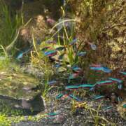 つかさ ⭐︎ 制服これくしょん