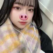 ヒメ日記 2026/01/15 12:37 投稿 れな 渋谷じゃっくす