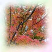 ヒメ日記 2025/09/22 07:55 投稿 れな 熟女家 豊中蛍池店