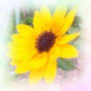 ヒメ日記 2025/09/24 21:25 投稿 れな 熟女家 豊中蛍池店