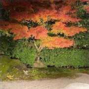 ヒメ日記 2025/10/22 18:01 投稿 れな 熟女家 豊中蛍池店