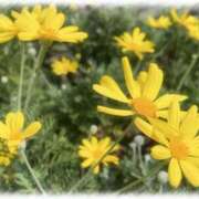 ヒメ日記 2025/11/02 12:31 投稿 れな 熟女家 豊中蛍池店