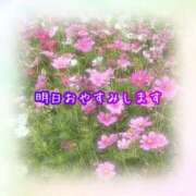 ヒメ日記 2025/11/09 17:01 投稿 れな 熟女家 豊中蛍池店