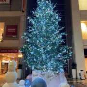 ヒメ日記 2025/11/22 12:05 投稿 れな 熟女家 豊中蛍池店