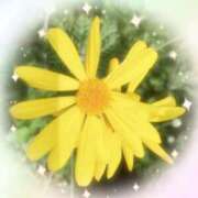 ヒメ日記 2025/11/26 06:56 投稿 れな 熟女家 豊中蛍池店