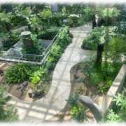 ヒメ日記 2025/11/27 12:52 投稿 れな 熟女家 豊中蛍池店