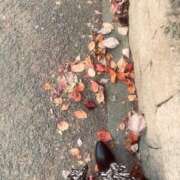 ヒメ日記 2025/11/30 10:38 投稿 れな 熟女家 豊中蛍池店