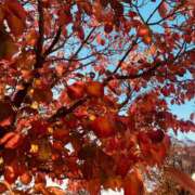 ヒメ日記 2025/12/01 07:24 投稿 れな 熟女家 豊中蛍池店