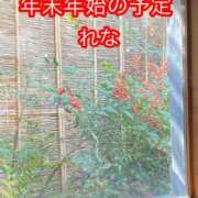 ヒメ日記 2025/12/21 13:41 投稿 れな 熟女家 豊中蛍池店