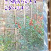 ヒメ日記 2026/01/03 12:36 投稿 れな 熟女家 豊中蛍池店