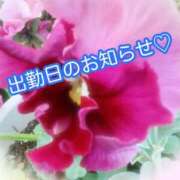 れな 出勤予定です♡ 熟女家 豊中蛍池店