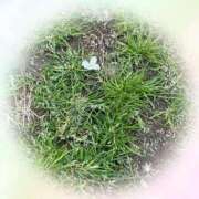 ヒメ日記 2026/03/25 20:37 投稿 れな 熟女家 豊中蛍池店