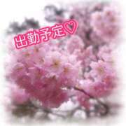 ヒメ日記 2026/03/30 17:53 投稿 れな 熟女家 豊中蛍池店