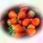 ヒメ日記 2026/04/01 08:04 投稿 れな 熟女家 豊中蛍池店