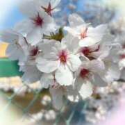 ヒメ日記 2026/04/02 17:44 投稿 れな 熟女家 豊中蛍池店