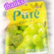 ヒメ日記 2026/04/04 09:37 投稿 れな 熟女家 豊中蛍池店