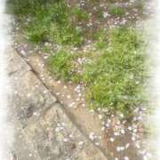 ヒメ日記 2026/04/06 16:47 投稿 れな 熟女家 豊中蛍池店