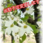 ヒメ日記 2026/04/19 21:28 投稿 れな 熟女家 豊中蛍池店