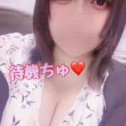 ヒメ日記 2025/09/26 01:11 投稿 こひな ぽっちゃり巨乳素人専門 埼玉越谷ちゃんこ