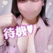 ヒメ日記 2025/11/24 17:53 投稿 こひな ぽっちゃり巨乳素人専門 埼玉越谷ちゃんこ