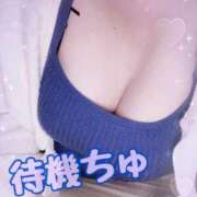 ヒメ日記 2025/11/25 21:39 投稿 こひな ぽっちゃり巨乳素人専門 埼玉越谷ちゃんこ