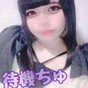 ヒメ日記 2026/03/28 15:44 投稿 こひな ぽっちゃり巨乳素人専門 埼玉越谷ちゃんこ