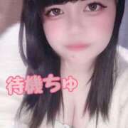 ヒメ日記 2026/04/17 23:26 投稿 こひな ぽっちゃり巨乳素人専門 埼玉越谷ちゃんこ