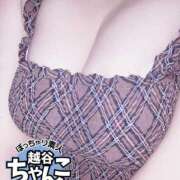 ヒメ日記 2026/08/17 18:15 投稿 こひな ぽっちゃり巨乳素人専門 埼玉越谷ちゃんこ
