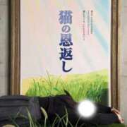 ヒメ日記 2026/02/05 17:54 投稿 遥香(はるか)【神乳Ｇカップ】 美魔女コレクション別府店