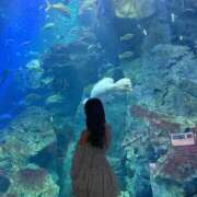 ヒメ日記 2026/02/25 12:24 投稿 遥香(はるか)【神乳Ｇカップ】 美魔女コレクション別府店