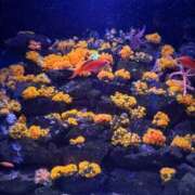 ヒメ日記 2026/02/25 22:54 投稿 遥香(はるか)【神乳Ｇカップ】 美魔女コレクション別府店