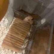 ヒメ日記 2025/09/18 01:07 投稿 りさ 横浜回春性感マッサージ倶楽部