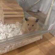 ヒメ日記 2025/09/20 03:37 投稿 りさ 横浜回春性感マッサージ倶楽部