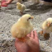 ヒメ日記 2025/10/22 19:33 投稿 りさ 横浜回春性感マッサージ倶楽部