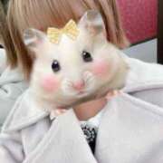 ヒメ日記 2025/10/28 18:17 投稿 りさ 横浜回春性感マッサージ倶楽部