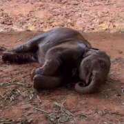 ヒメ日記 2026/01/10 19:07 投稿 きり 土浦ハッピーマットパラダイス