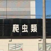 ヒメ日記 2026/01/16 13:57 投稿 きり 土浦ハッピーマットパラダイス