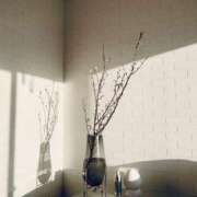 ヒメ日記 2026/03/30 09:11 投稿 きり 土浦ハッピーマットパラダイス