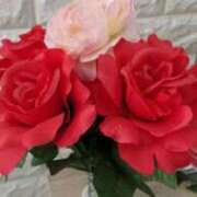 ヒメ日記 2025/09/13 15:04 投稿 ちよ未経験 マダム可憐